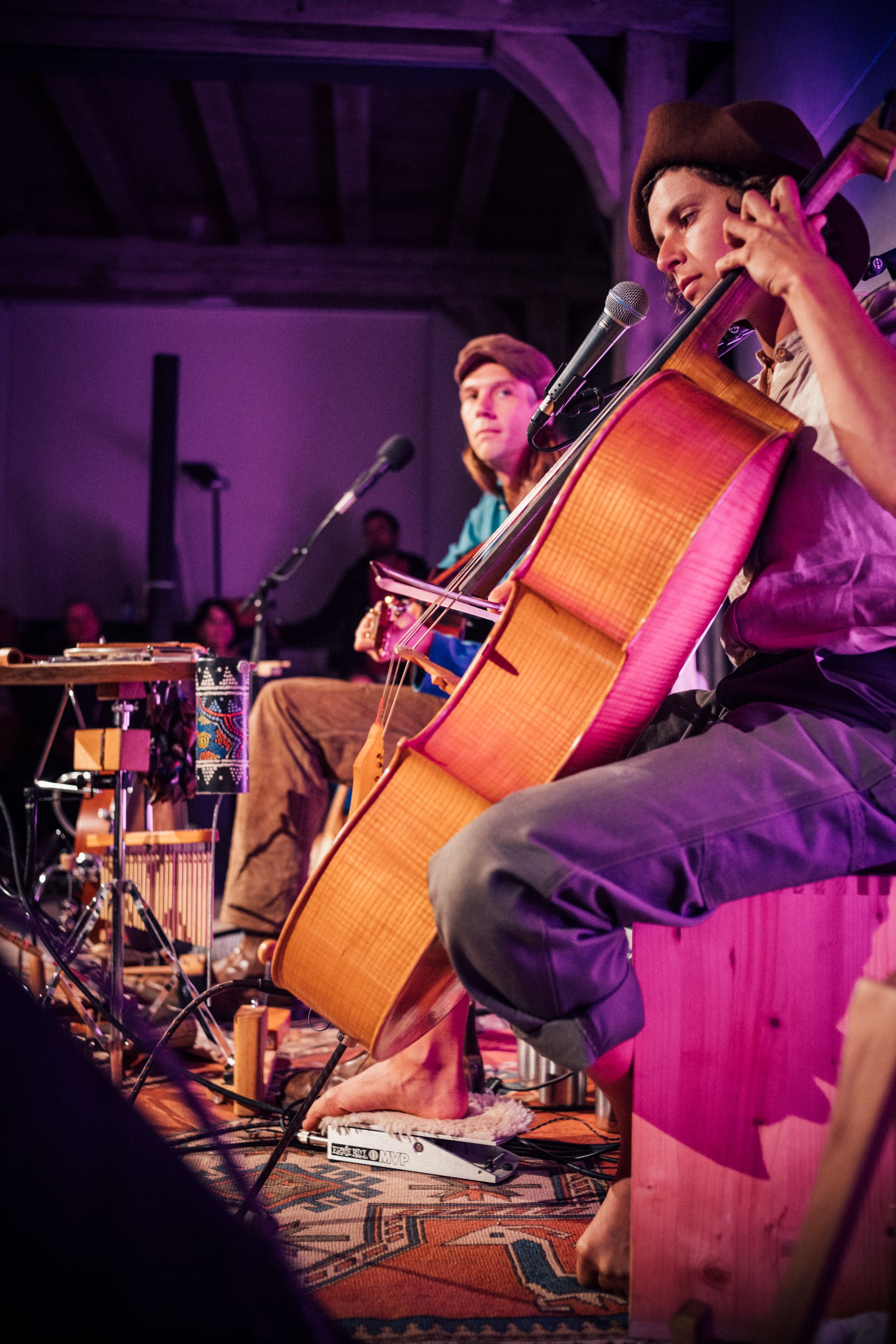 Sofakonzert - Die Stangenbohnenpartei