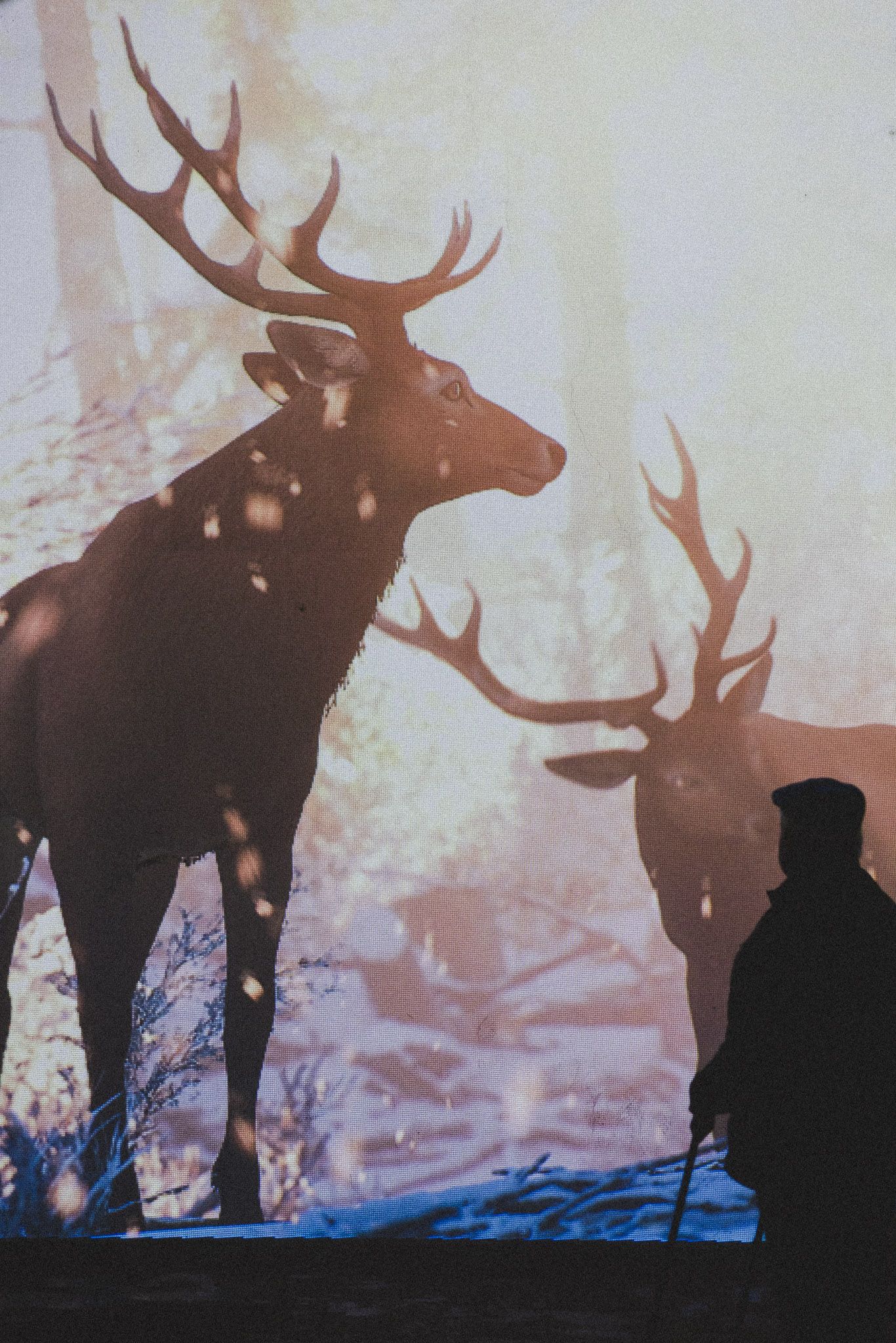'Zeit des Lichts' – eine monumentale Projektion zum Auftakt des Ravensburger Christkindlesmarkts 2025 (Foto: David Hetriuc)