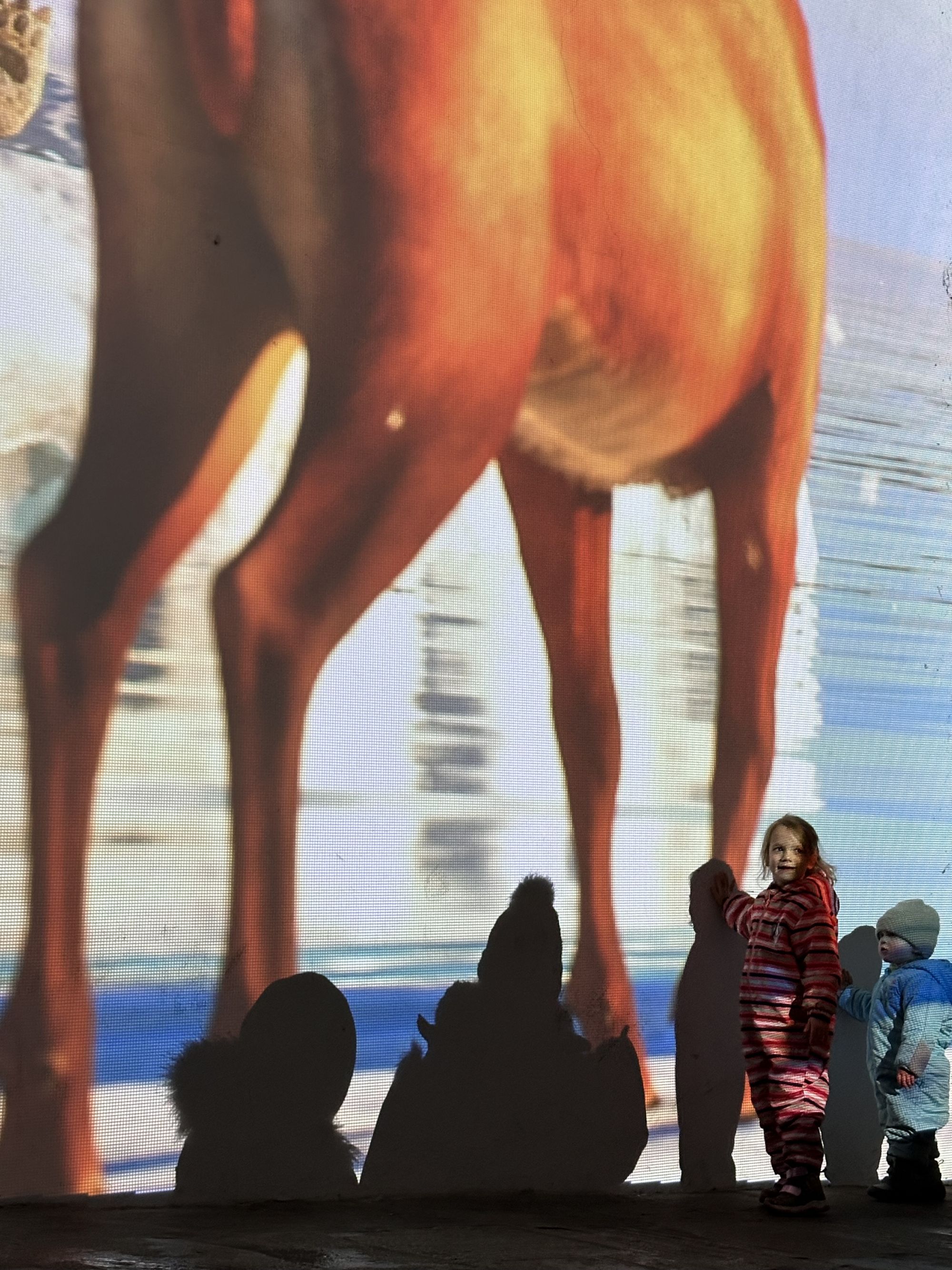 'Zeit des Lichts' – eine monumentale Projektion zum Auftakt des Ravensburger Christkindlesmarkts 2025 (Foto: David Hetriuc)