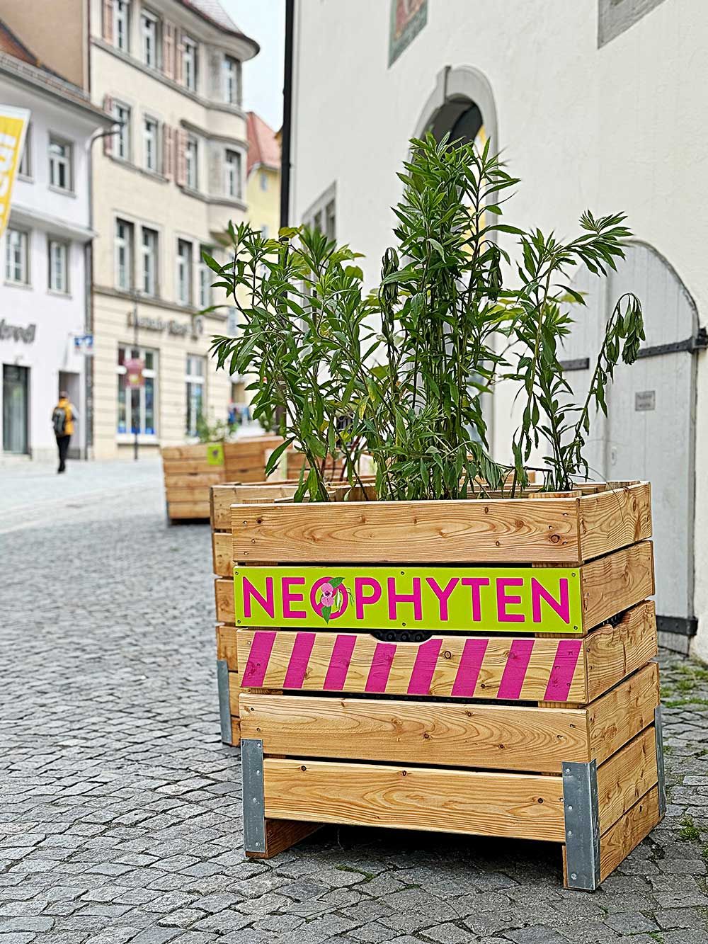Neophyten