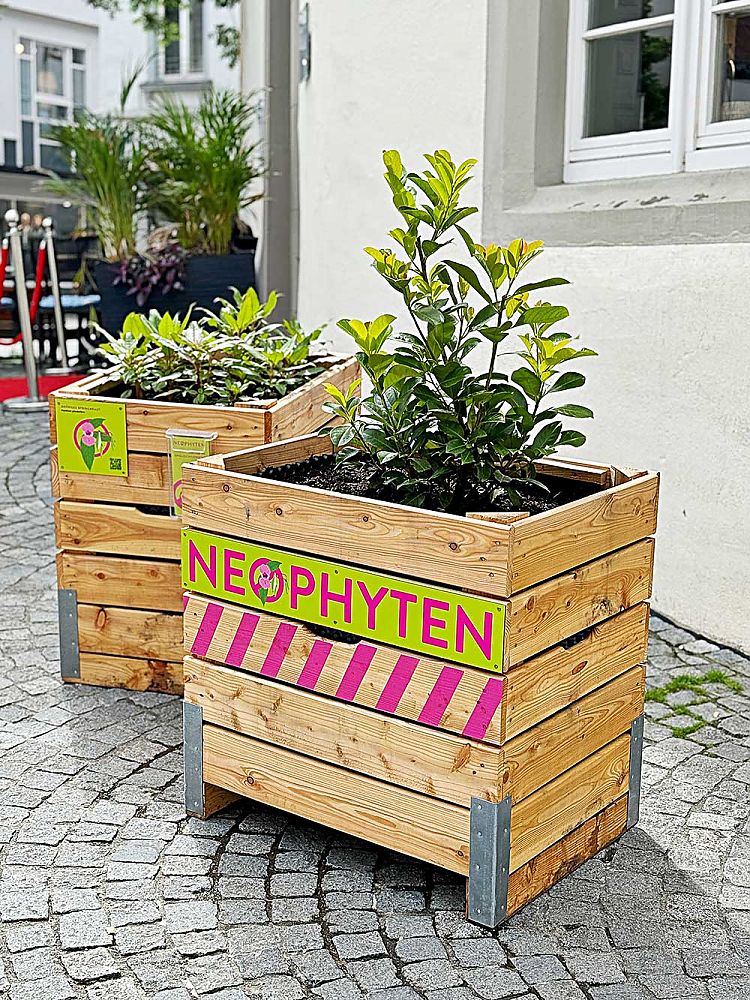 Neophyten